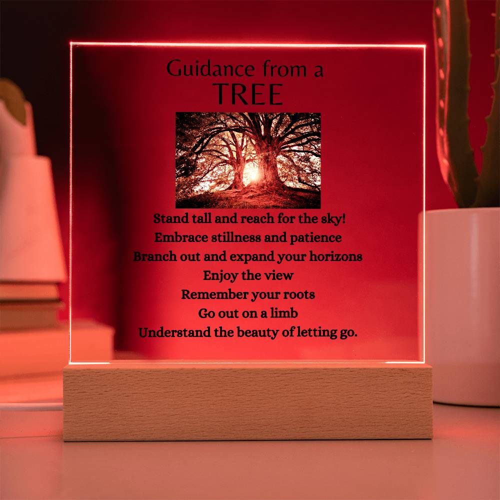 Guidance from a Tree / Acrylic Plaque with LED light upgrade