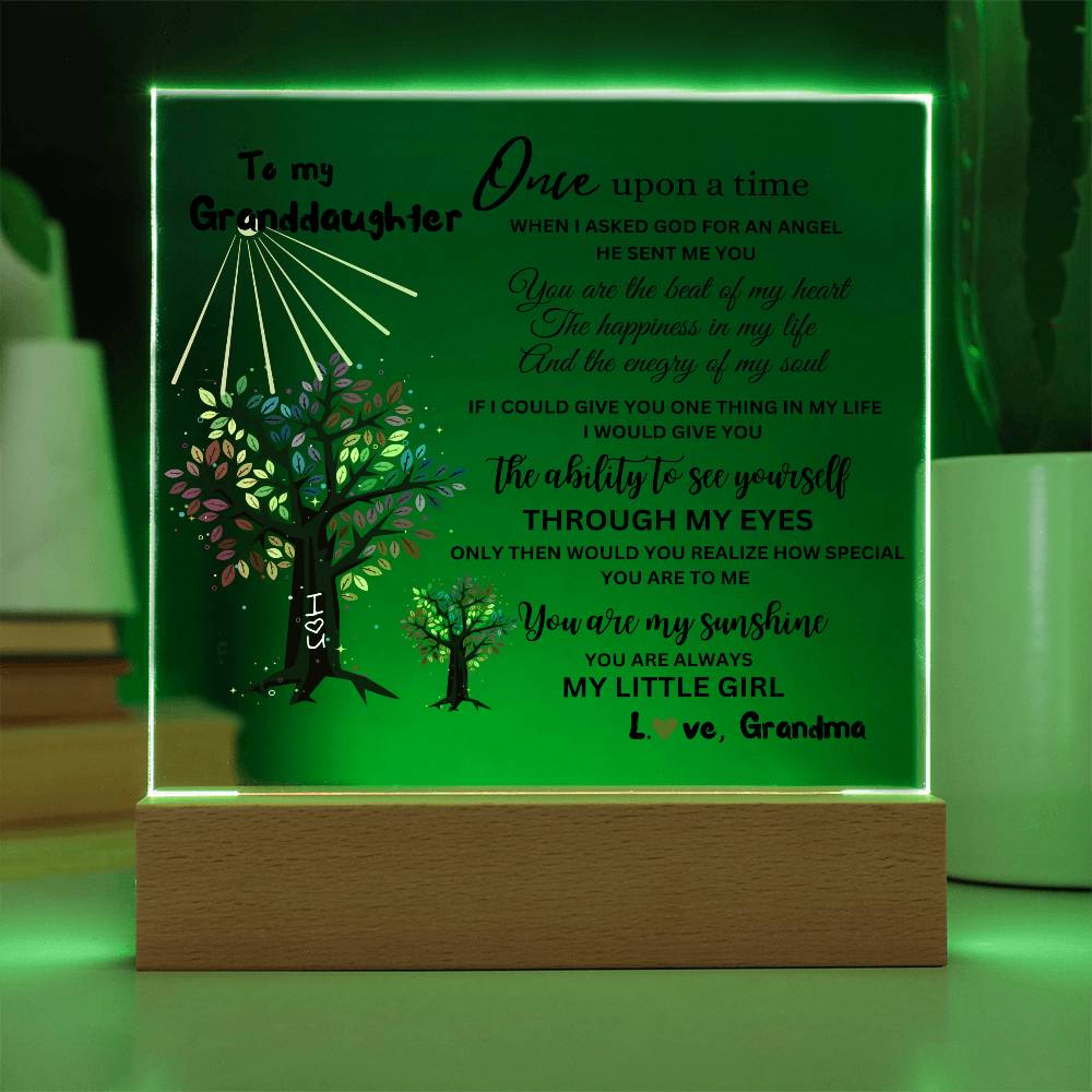 To My Granddaughter / You are my Sunshine / Square Acrylic Plaque with LED light