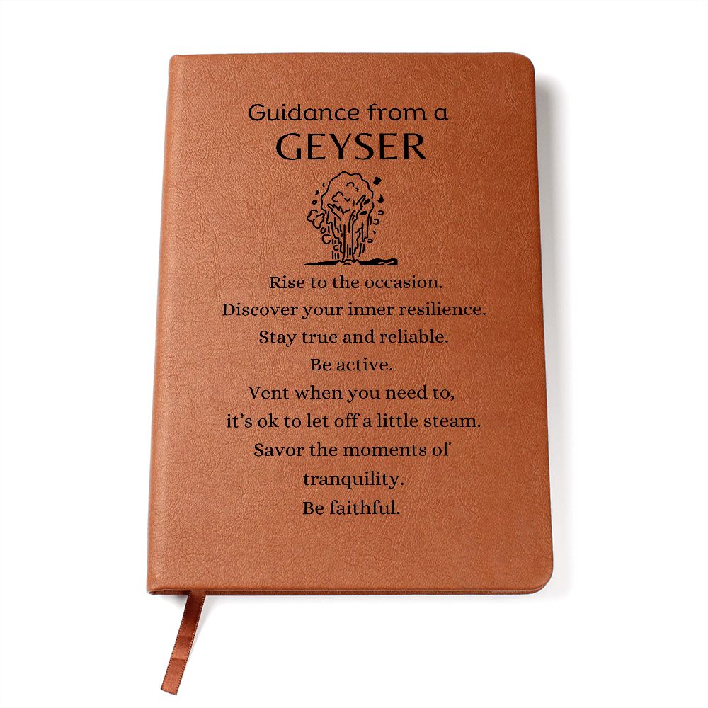 Guidance from a Geyser Journal