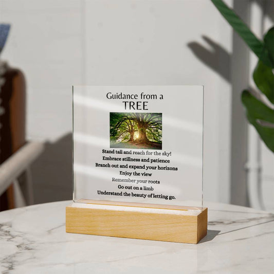 Guidance from a Tree / Acrylic Plaque with LED light upgrade